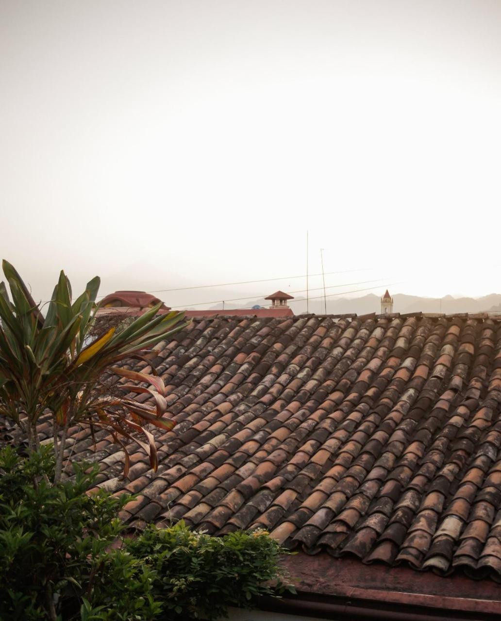 Posada Galeria Alberto Sedas Huatusco Kültér fotó